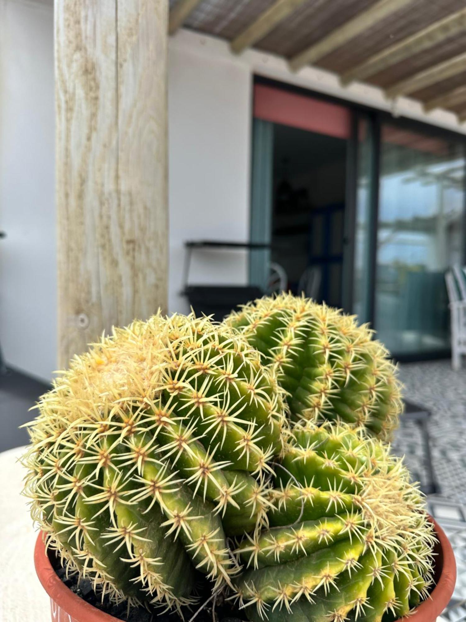 Casita Tiare Lajares Lägenhet Exteriör bild